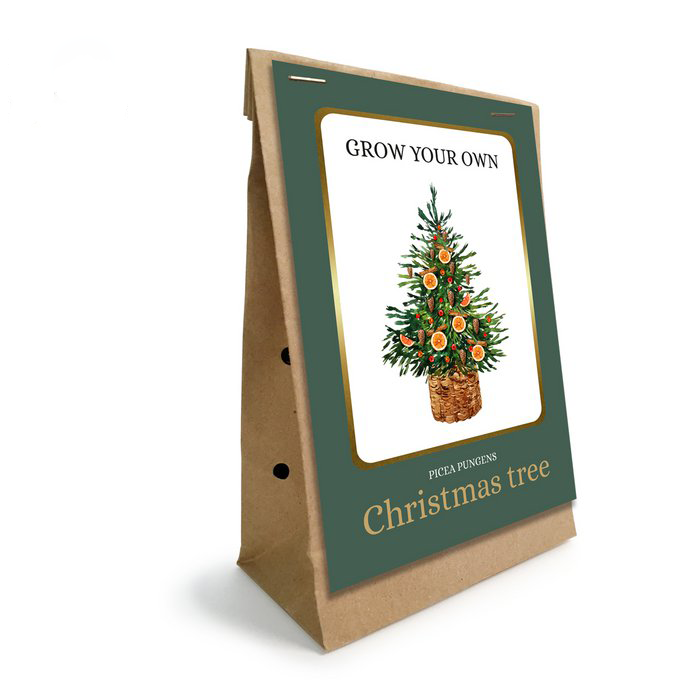 kweek je eigen kerstboom picea pungens